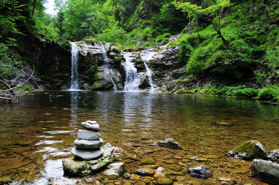 Une cascade avec une étendue d'eau claire en pleine nature